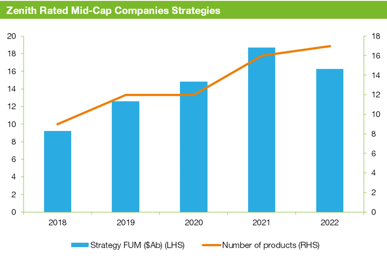 Zenith Rated Mid-Cap Companies Strategies